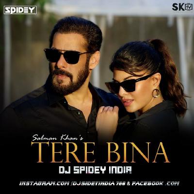 Tere Bina (Salman Khan) Dj Spidey India